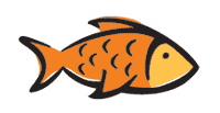 fish image